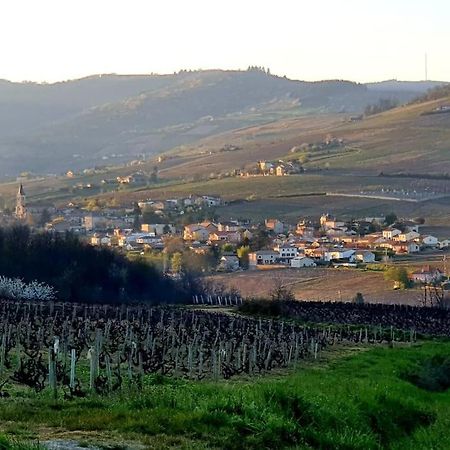 דירות La Chapelle-de-Guinchay Au Coeur Des Vignes Chenas Du Beaujolais מראה חיצוני תמונה