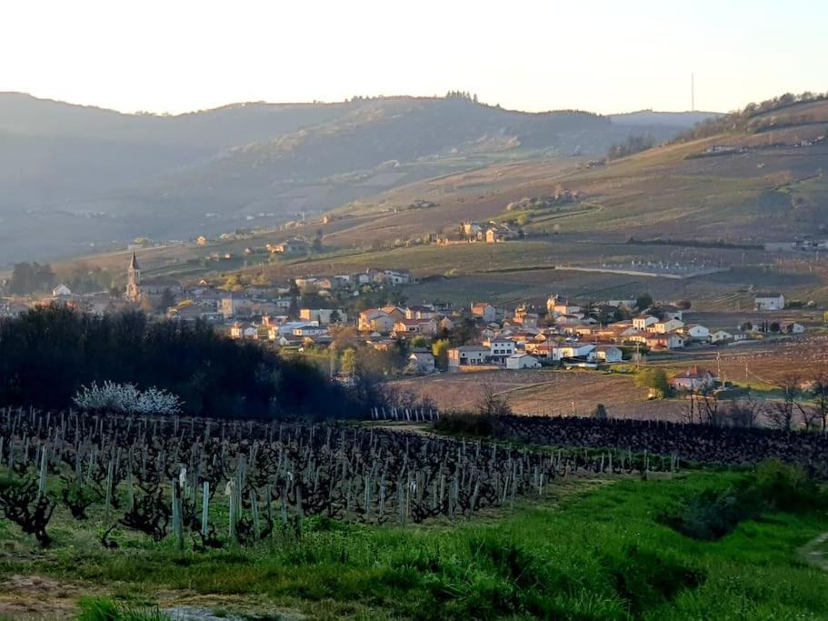 דירות La Chapelle-de-Guinchay Au Coeur Des Vignes Chenas Du Beaujolais מראה חיצוני תמונה